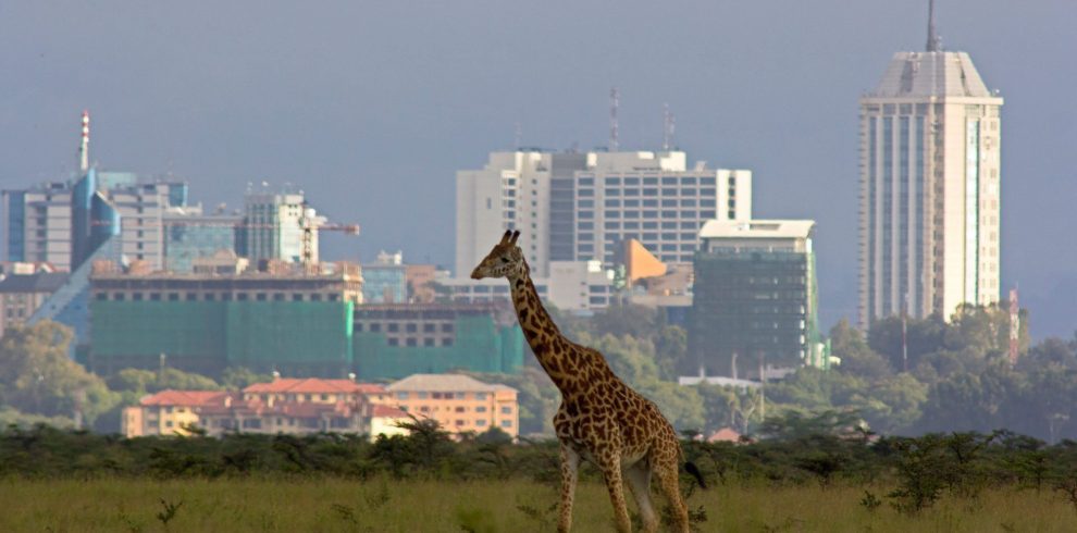 electronic visa Kenya nairobi city tour