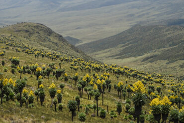 aberdare national park entry fees