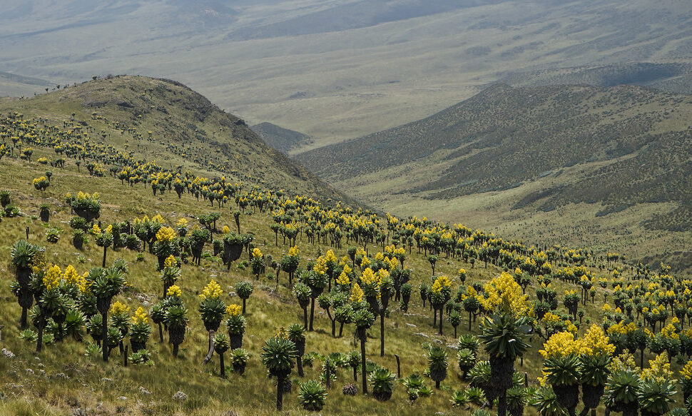 aberdare national park entry fees