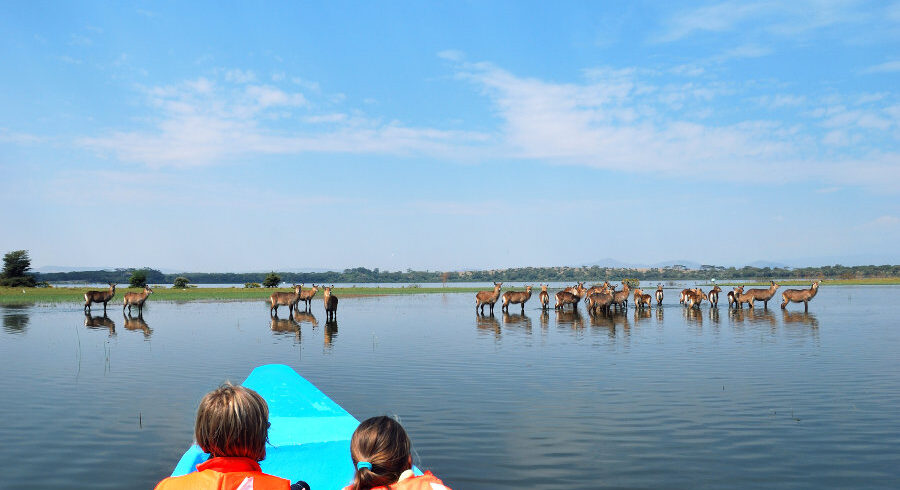 lake naivasha boat ride