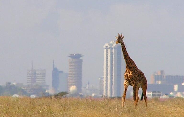 nairobi national park tickets