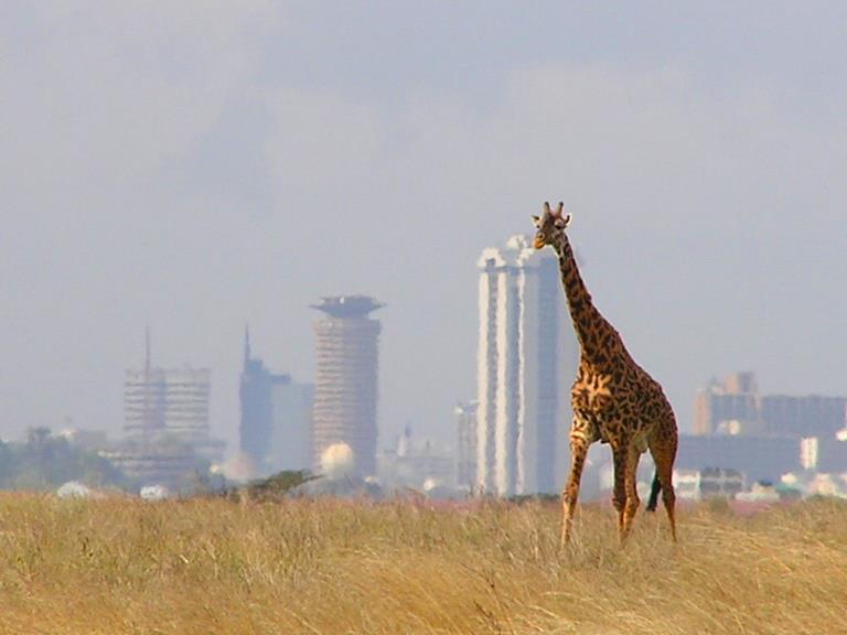 nairobi national park tickets