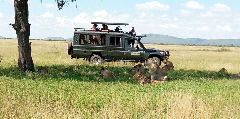 Panora Tours Masai mara