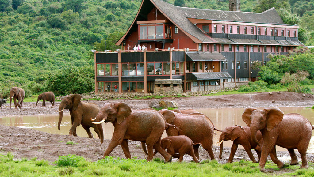 Aberdare national park entry fees