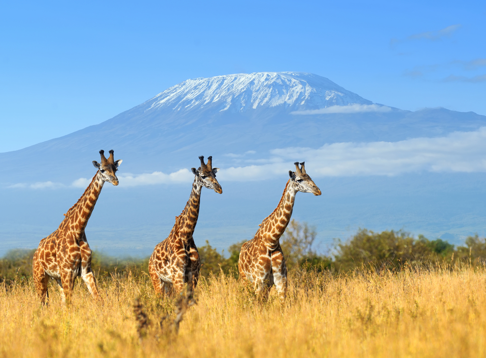 cheap weekend getaways outside nairobi amboseli