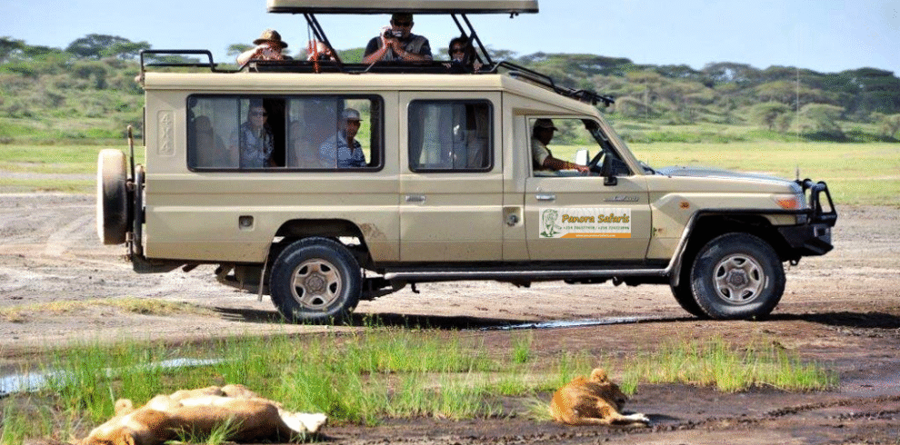 masai mara safari packages