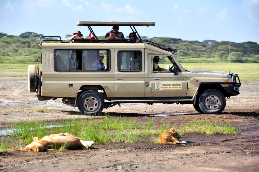 masai mara safari packages