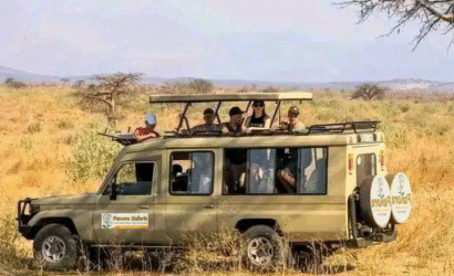 Panora Tours Kenya safari