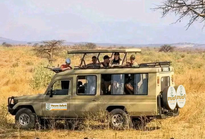 Panora Tours Kenya safari