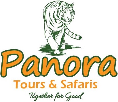 Panora Tours logo