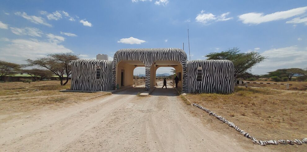 samburu national reserve safari