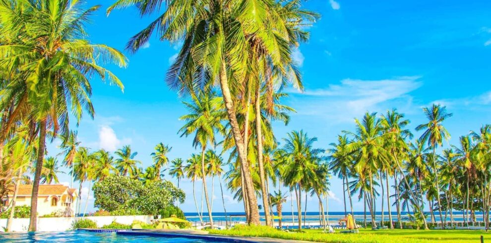 mombasa beach safari packages