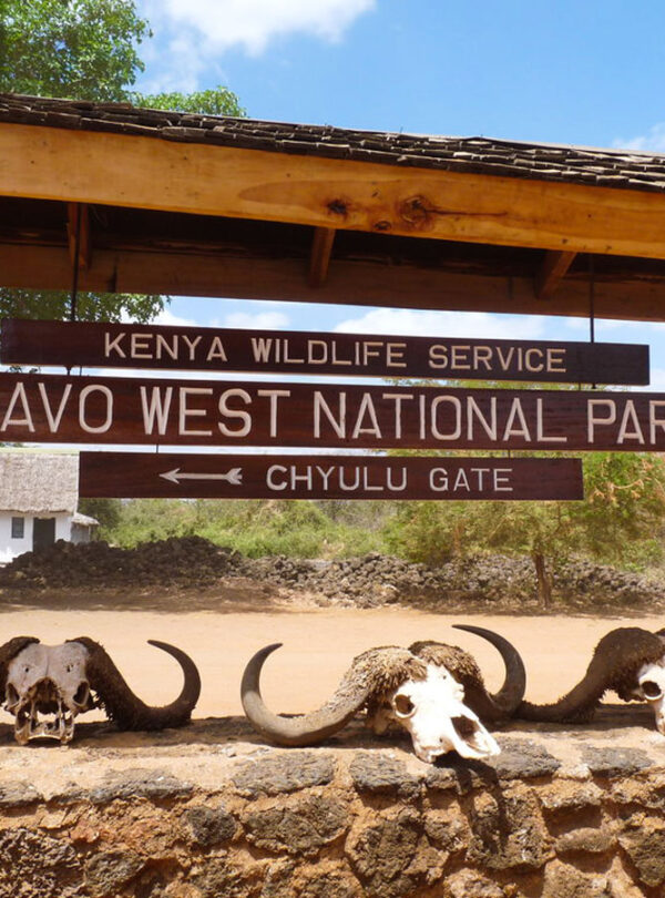 Tsavo west national park