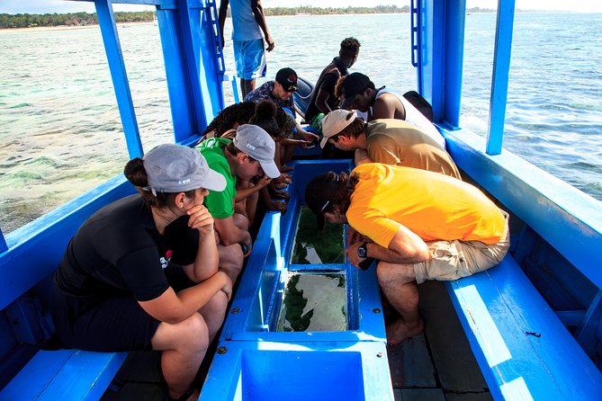 glass bottom boat