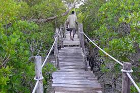 mida creek