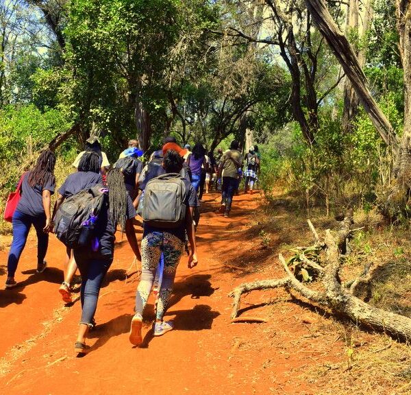 mountain climbing and hiking in Kenya