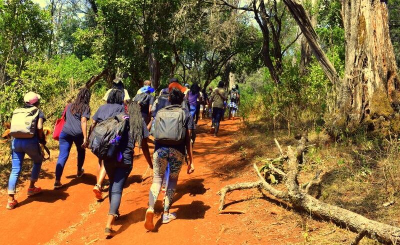 mountain climbing and hiking in Kenya