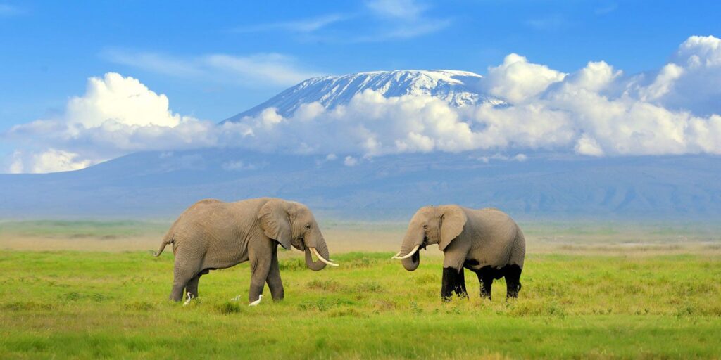 amboseli park