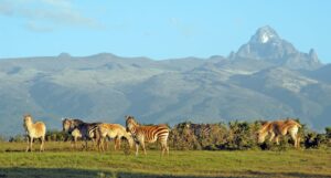 mount kenya national park