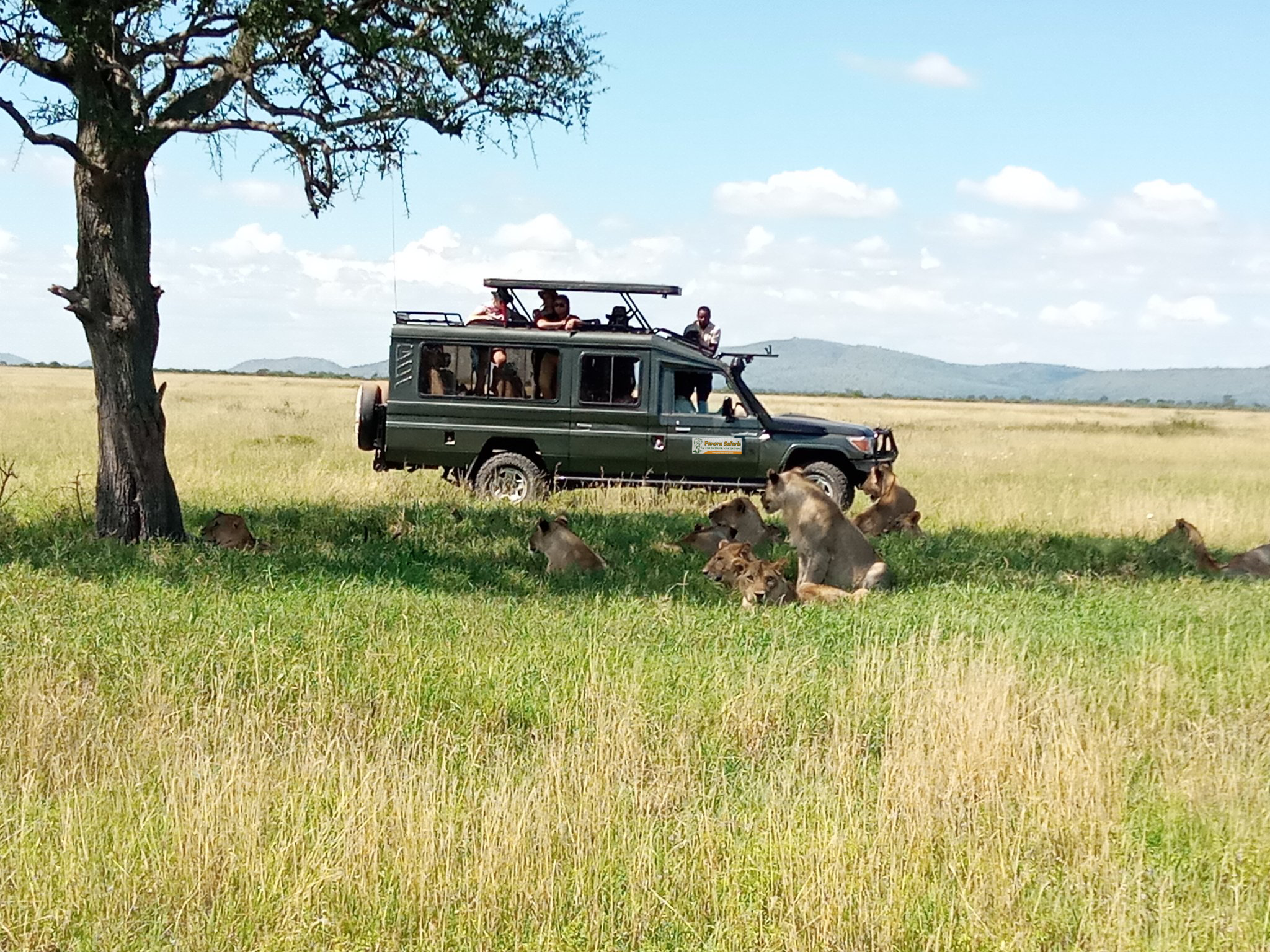 panora and cruiser 1