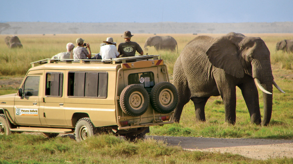 panora maasai mara cruiser