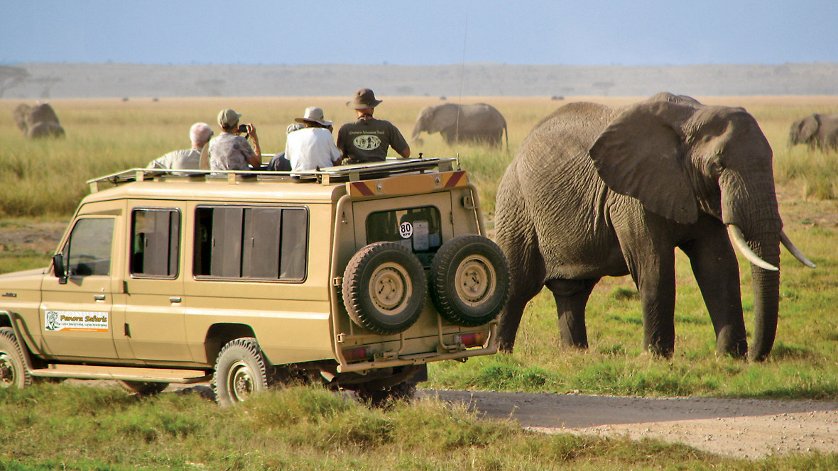 panora maasai mara cruiser