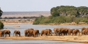 tsavo west national park 4