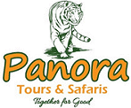 Panora Logo