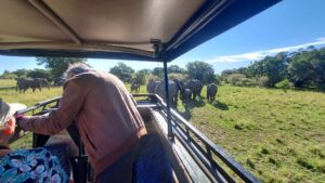 elephants and landcruiser