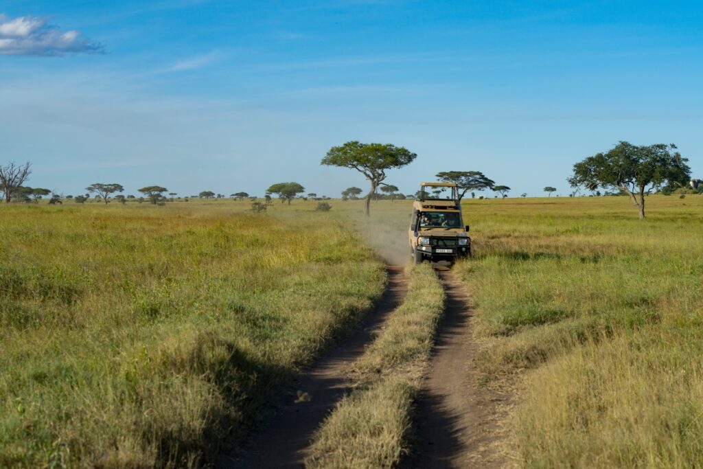 land cruiser mara