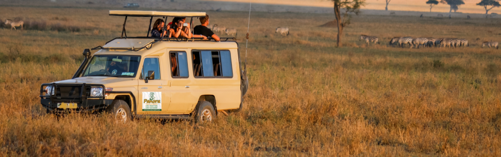 masai mara cruiser