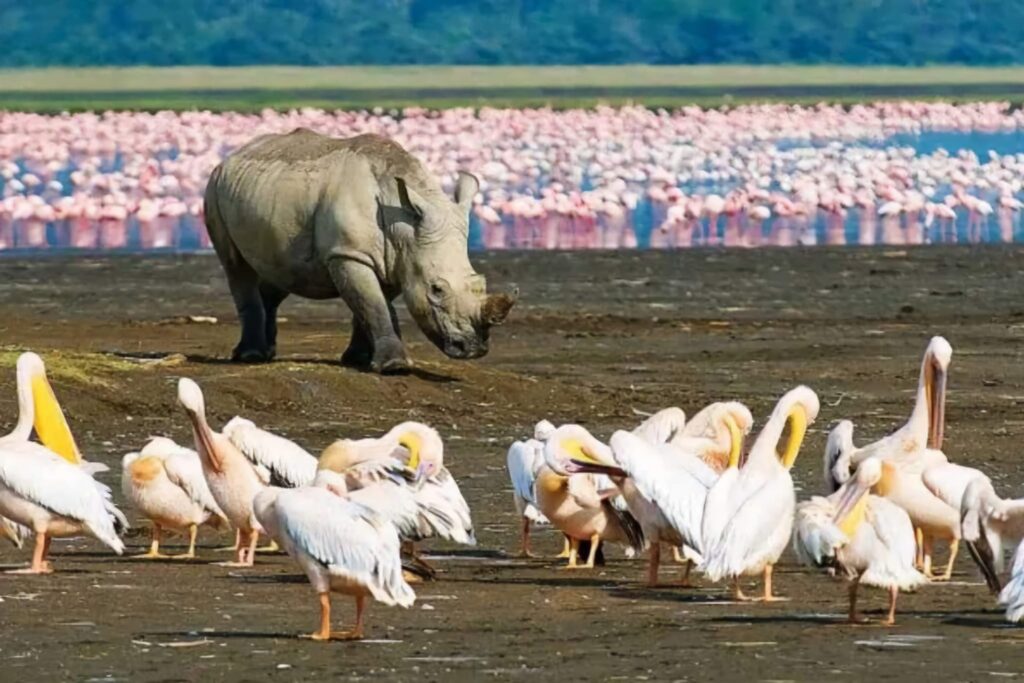 nakuru