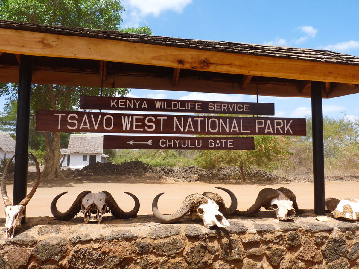 Trip Search Result tsavo west national park