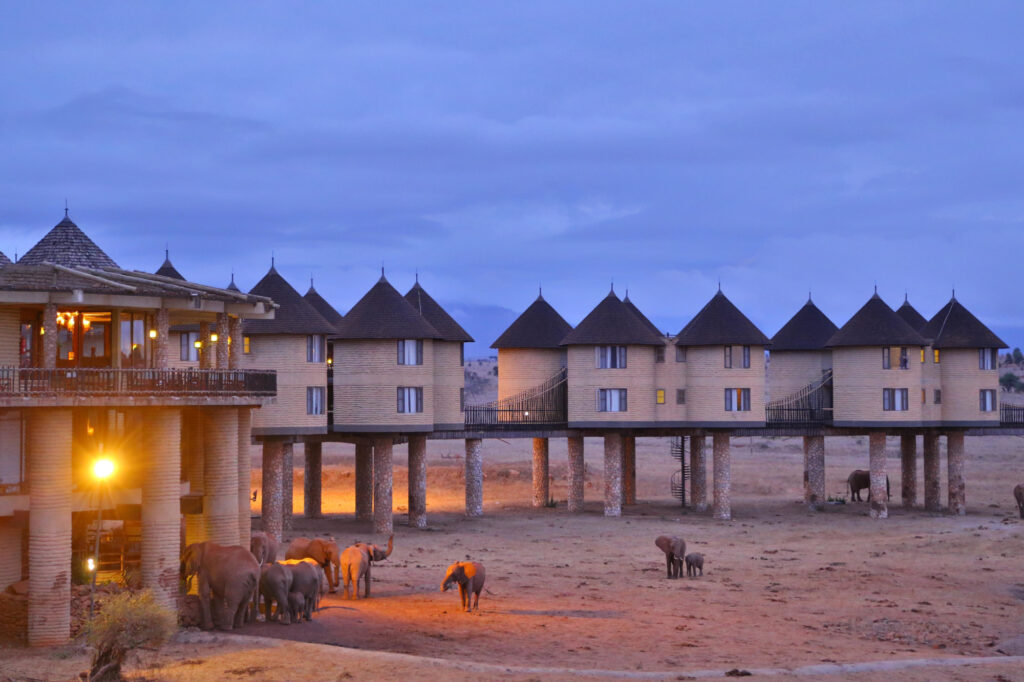 salt lick lodge