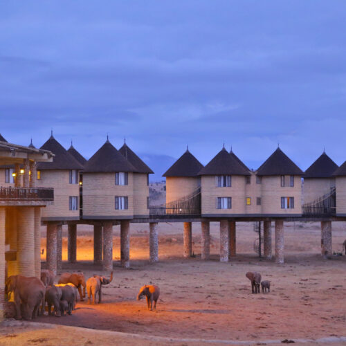 salt lick lodge
