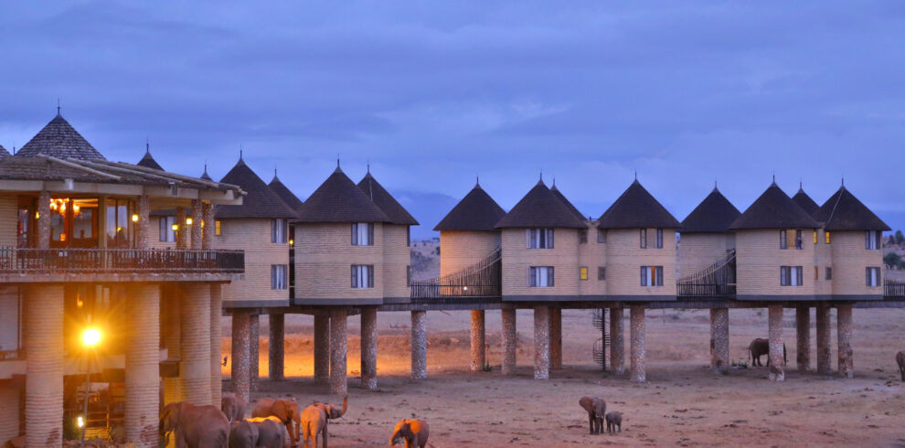 salt lick lodge