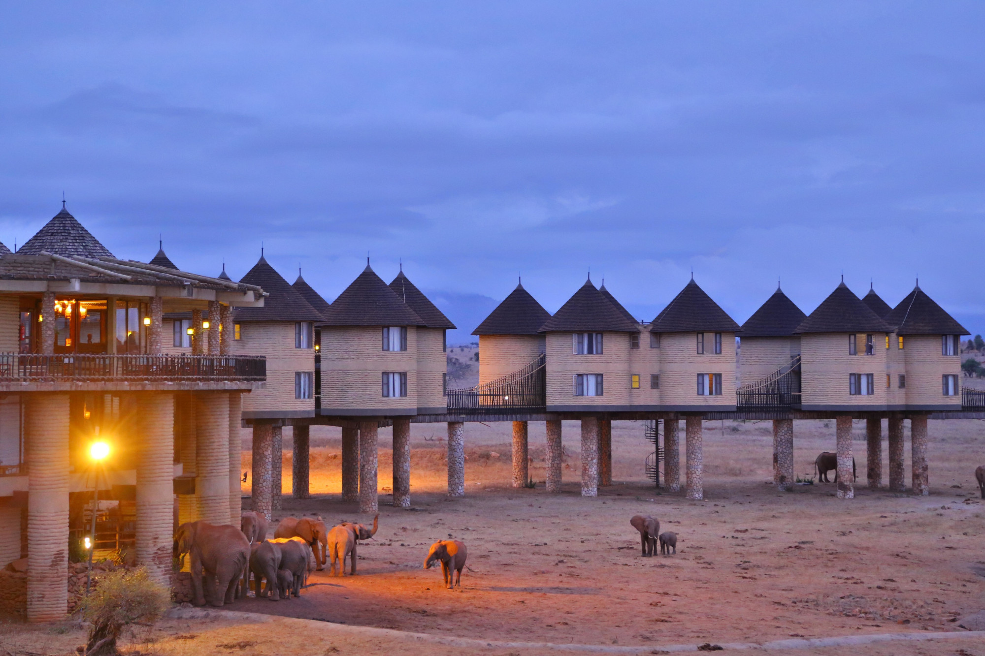 salt lick lodge